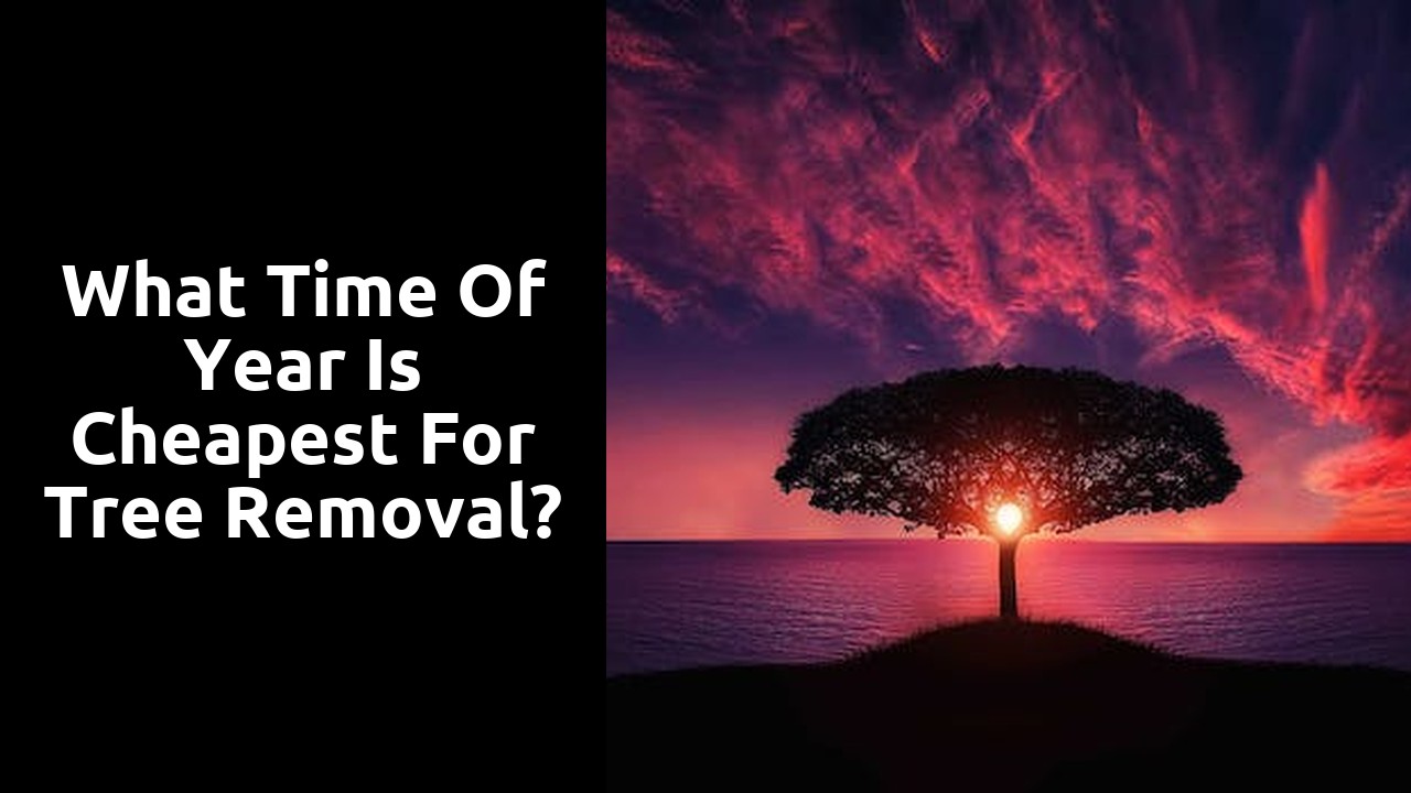 What time of year is cheapest for tree removal?