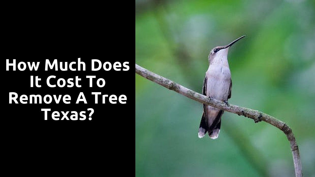 How much does it cost to remove a tree Texas?