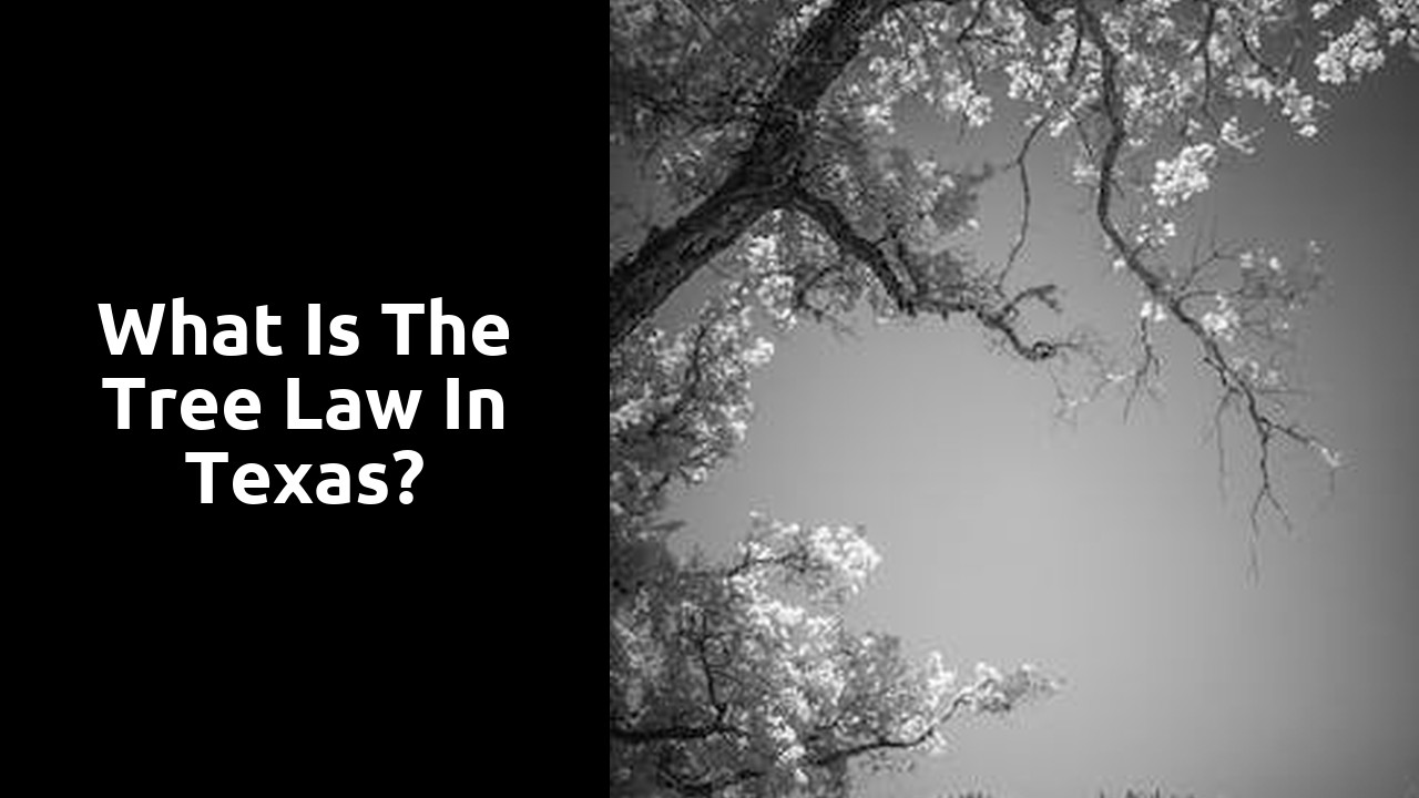What is the tree law in Texas?